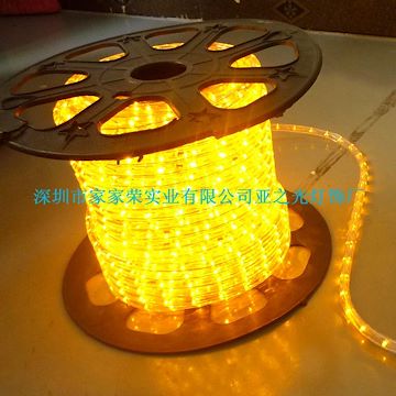 2013供應(yīng)低壓DC24V燈與銅芯主線垂直的實心圓二線LED彩虹管